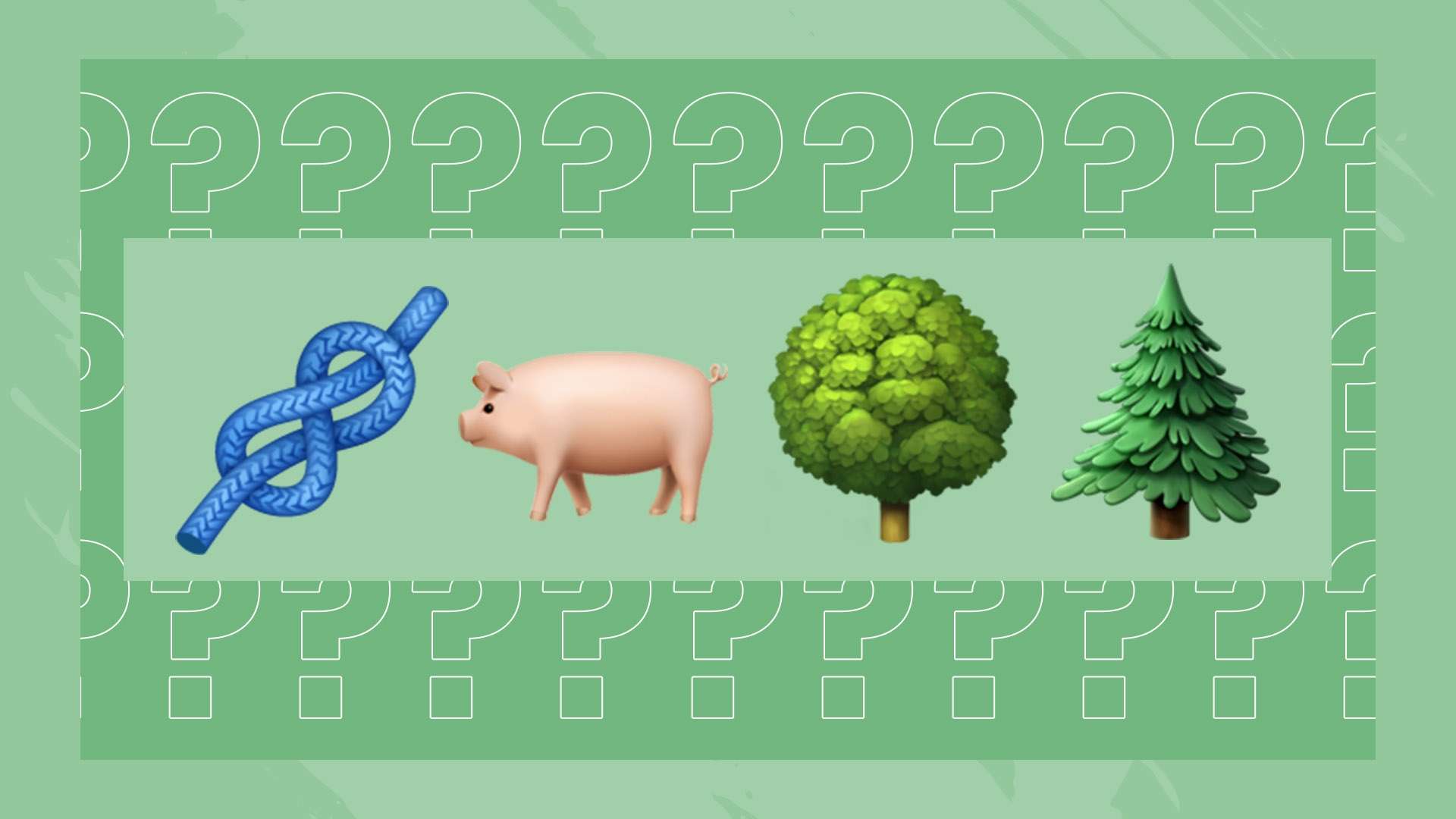 合自己的节 合自己的节